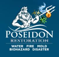 Poseidon Restoration image 1